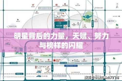 明星背后的力量,天赋、努力与榜样的闪耀