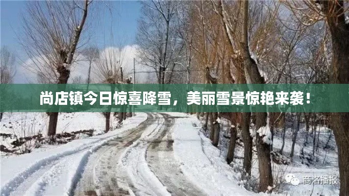 尚店镇今日惊喜降雪,美丽雪景惊艳来袭!