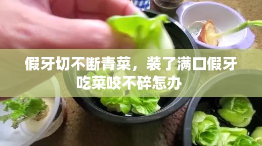假牙切不断青菜,装了满口假牙吃菜咬不碎怎办