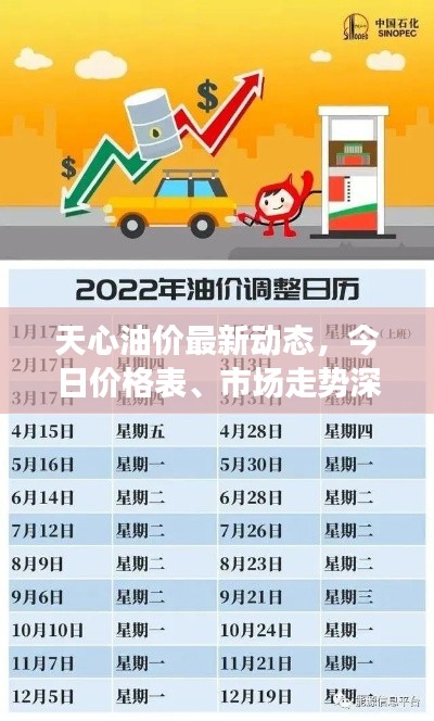 天心油价最新动态,今日价格表、市场走势深度分析与预测报告