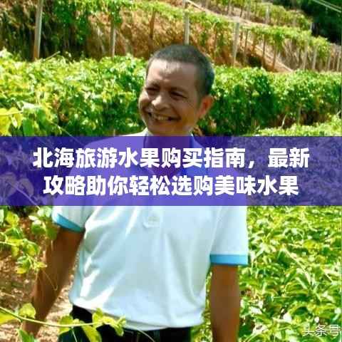 北海旅游水果购买指南，最新攻略助你轻松选购美味水果