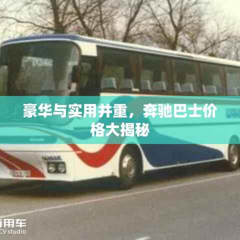 豪华与实用并重,奔驰巴士价格大揭秘