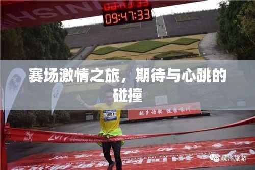 赛场激情之旅,期待与心跳的碰撞