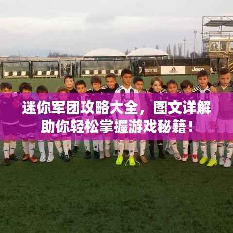 迷你军团攻略大全,图文详解助你轻松掌握游戏秘籍!