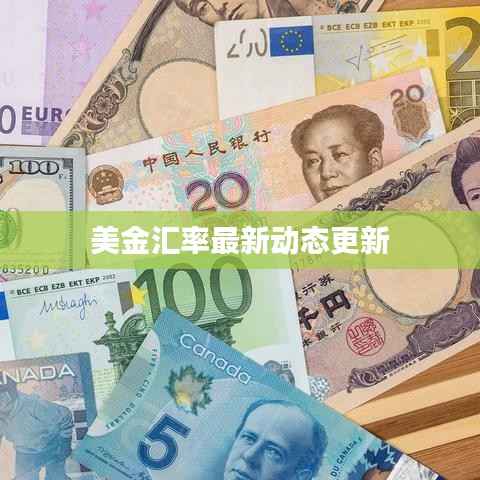 美金汇率最新动态更新