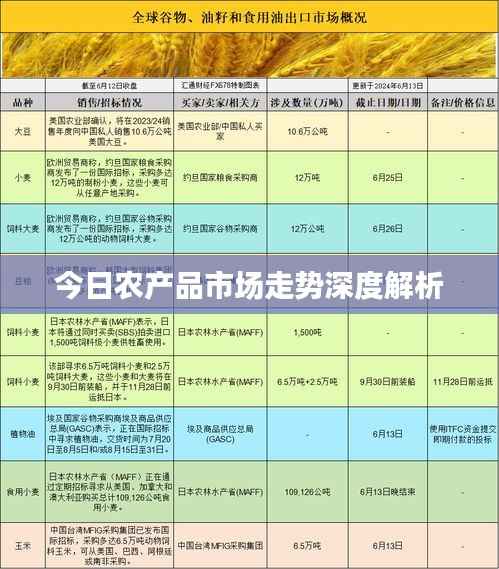 今日农产品市场走势深度解析