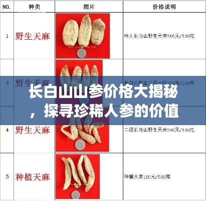 公司概况 第94页