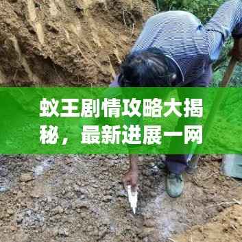 蚁王剧情攻略大揭秘，最新进展一网打尽！