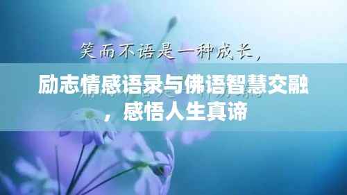 励志情感语录与佛语智慧交融,感悟人生真谛
