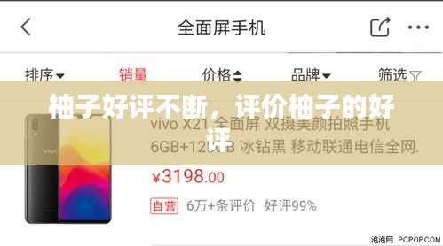 柚子好评不断，评价柚子的好评 