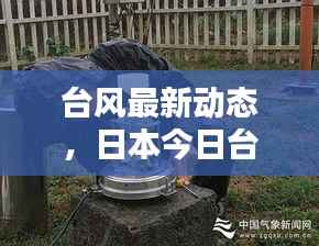 台风最新动态,日本今日台风图表更新,密切关注以保障安全