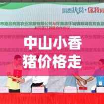 中山小香猪价格走势大揭秘,最新行情分析!