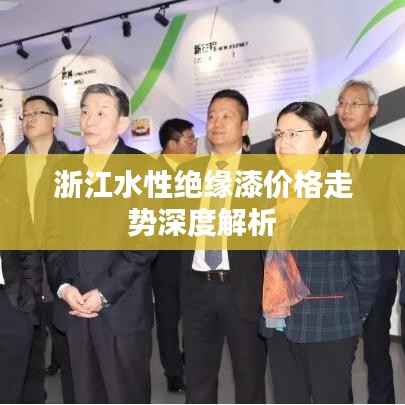 公司概况 第89页