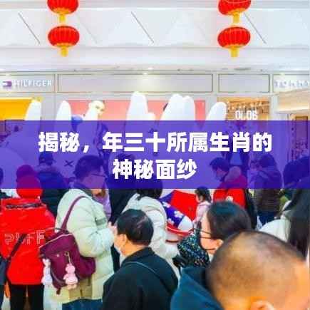 揭秘,年三十所属生肖的神秘面纱