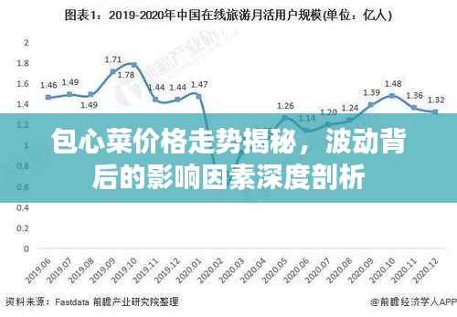 包心菜价格走势揭秘,波动背后的影响因素深度剖析