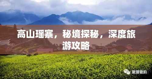 公司概况 第82页