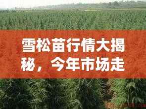 员工入口 第76页