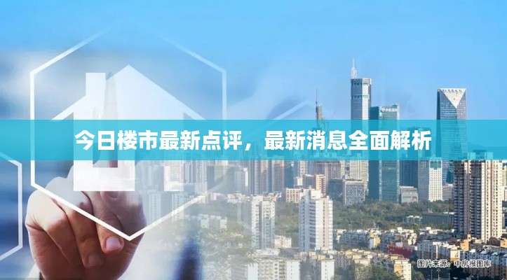 今日楼市最新点评,最新消息全面解析