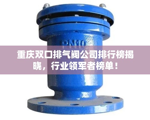 重庆双口排气阀公司排行榜揭晓,行业领军者榜单!