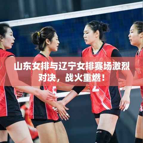山东女排与辽宁女排赛场激烈对决,战火重燃!