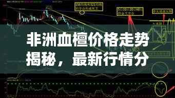 非洲血檀价格走势揭秘,最新行情分析与预测