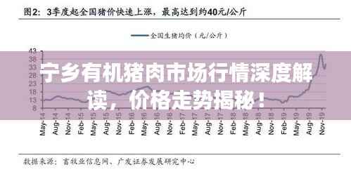 宁乡有机猪肉市场行情深度解读，价格走势揭秘！