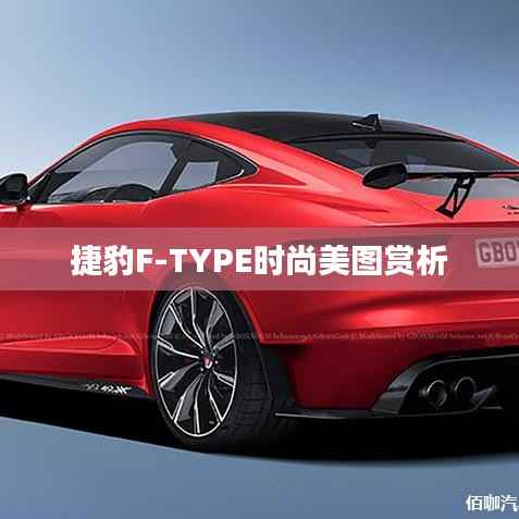 捷豹F-TYPE时尚美图赏析