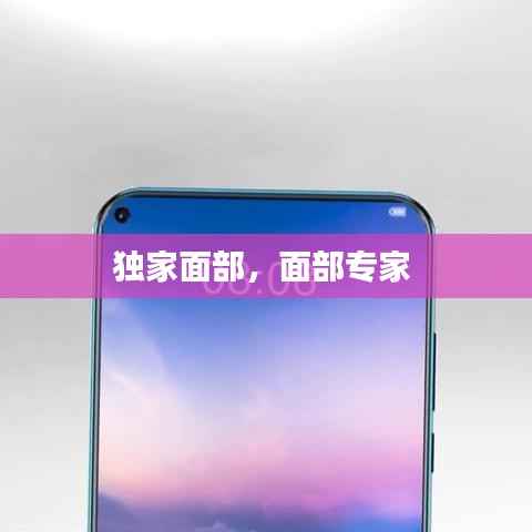 独家面部,面部专家