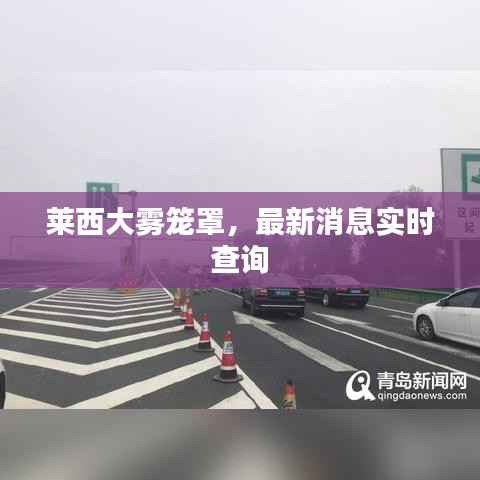 莱西大雾笼罩,最新消息实时查询