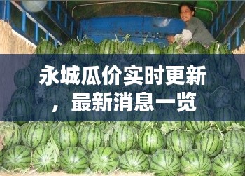 永城瓜价实时更新,最新消息一览