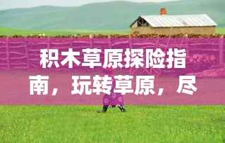 积木草原探险指南,玩转草原,尽享乐趣!