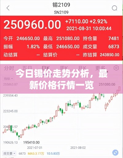 今日锡价走势分析,最新价格行情一览