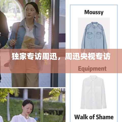 独家专访周迅,周迅央视专访