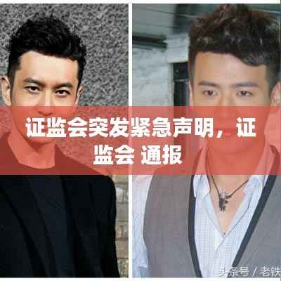 证监会突发紧急声明,证监会 通报