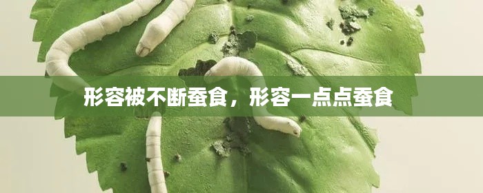 形容被不断蚕食，形容一点点蚕食 