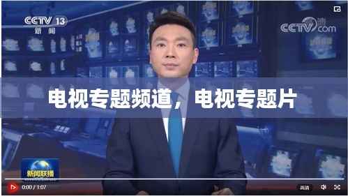 电视专题频道,电视专题片