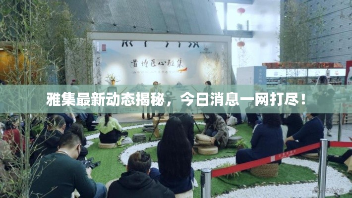 雅集最新动态揭秘,今日消息一网打尽!