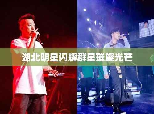 湖北明星闪耀群星璀璨光芒