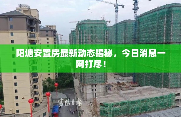 zhangmingfugui 第2页