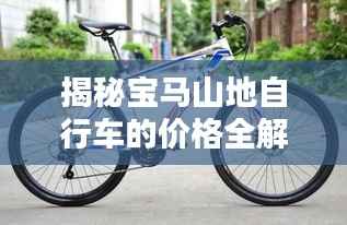 揭秘宝马山地自行车的价格全解析!