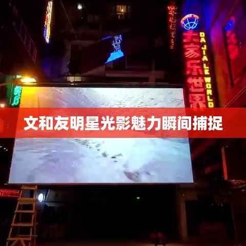 文和友明星光影魅力瞬间捕捉