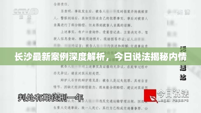 长沙最新案例深度解析，今日说法揭秘内情