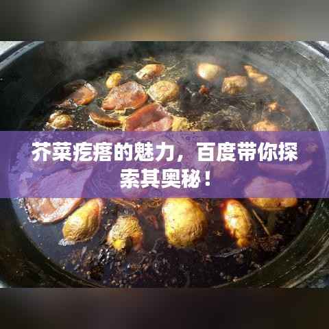 芥菜疙瘩的魅力,百度带你探索其奥秘!