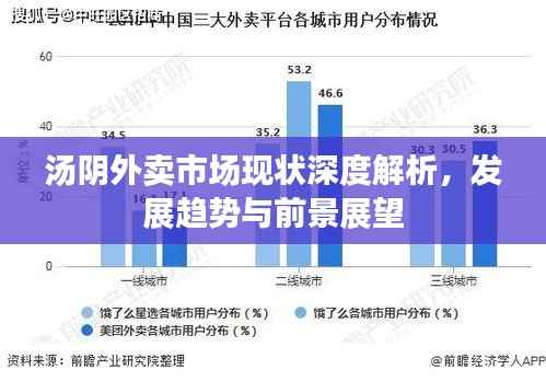 汤阴外卖市场现状深度解析,发展趋势与前景展望