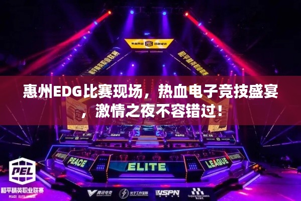 惠州EDG比赛现场，热血电子竞技盛宴，激情之夜不容错过！